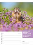 Bild von Tierisch! Sprüchekalender - Wochenplaner Kalender 2026
