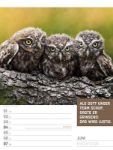 Bild von Tierisch! Sprüchekalender - Wochenplaner Kalender 2026