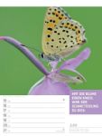 Bild von Tierisch! Sprüchekalender - Wochenplaner Kalender 2026