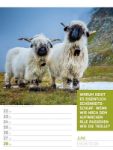 Bild von Tierisch! Sprüchekalender - Wochenplaner Kalender 2026