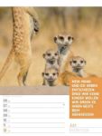 Bild von Tierisch! Sprüchekalender - Wochenplaner Kalender 2026