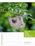 Bild von Tierisch! Sprüchekalender - Wochenplaner Kalender 2026