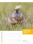 Bild von Tierisch! Sprüchekalender - Wochenplaner Kalender 2026