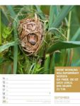 Bild von Tierisch! Sprüchekalender - Wochenplaner Kalender 2026