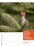 Bild von Tierisch! Sprüchekalender - Wochenplaner Kalender 2026