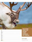Bild von Tierisch! Sprüchekalender - Wochenplaner Kalender 2026