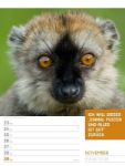 Bild von Tierisch! Sprüchekalender - Wochenplaner Kalender 2026