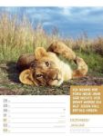 Bild von Tierisch! Sprüchekalender - Wochenplaner Kalender 2026