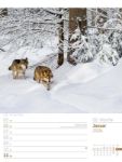 Bild von Unser Wald - Wochenplaner Kalender 2026