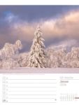 Bild von Unser Wald - Wochenplaner Kalender 2026