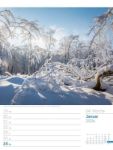 Bild von Unser Wald - Wochenplaner Kalender 2026