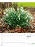 Bild von Unser Wald - Wochenplaner Kalender 2026