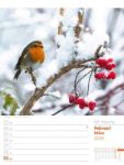 Bild von Unser Wald - Wochenplaner Kalender 2026