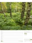 Bild von Unser Wald - Wochenplaner Kalender 2026