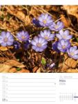 Bild von Unser Wald - Wochenplaner Kalender 2026