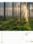 Bild von Unser Wald - Wochenplaner Kalender 2026
