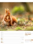 Bild von Unser Wald - Wochenplaner Kalender 2026