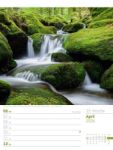 Bild von Unser Wald - Wochenplaner Kalender 2026