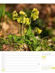 Bild von Unser Wald - Wochenplaner Kalender 2026