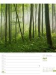 Bild von Unser Wald - Wochenplaner Kalender 2026