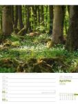 Bild von Unser Wald - Wochenplaner Kalender 2026
