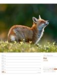 Bild von Unser Wald - Wochenplaner Kalender 2026