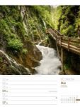 Bild von Unser Wald - Wochenplaner Kalender 2026