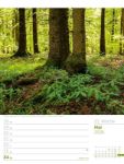 Bild von Unser Wald - Wochenplaner Kalender 2026