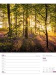 Bild von Unser Wald - Wochenplaner Kalender 2026