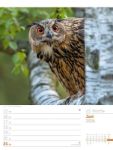 Bild von Unser Wald - Wochenplaner Kalender 2026