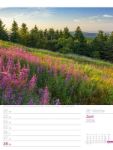 Bild von Unser Wald - Wochenplaner Kalender 2026