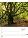 Bild von Unser Wald - Wochenplaner Kalender 2026