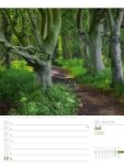 Bild von Unser Wald - Wochenplaner Kalender 2026