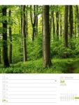 Bild von Unser Wald - Wochenplaner Kalender 2026