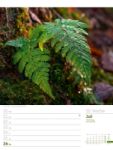 Bild von Unser Wald - Wochenplaner Kalender 2026