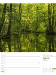 Bild von Unser Wald - Wochenplaner Kalender 2026