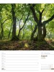 Bild von Unser Wald - Wochenplaner Kalender 2026