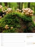 Bild von Unser Wald - Wochenplaner Kalender 2026