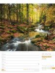 Bild von Unser Wald - Wochenplaner Kalender 2026