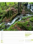 Bild von Unser Wald - Wochenplaner Kalender 2026