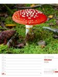 Bild von Unser Wald - Wochenplaner Kalender 2026
