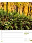 Bild von Unser Wald - Wochenplaner Kalender 2026