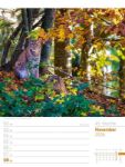 Bild von Unser Wald - Wochenplaner Kalender 2026