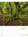 Bild von Unser Wald - Wochenplaner Kalender 2026