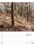 Bild von Unser Wald - Wochenplaner Kalender 2026