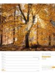 Bild von Unser Wald - Wochenplaner Kalender 2026