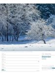 Bild von Unser Wald - Wochenplaner Kalender 2026