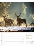 Bild von Unser Wald - Wochenplaner Kalender 2026