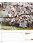 Bild von Gartenglück - Wochenplaner Kalender 2026