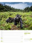 Bild von Planet Erde - Landschaften der Welt - Wochenplaner Kalender 2026